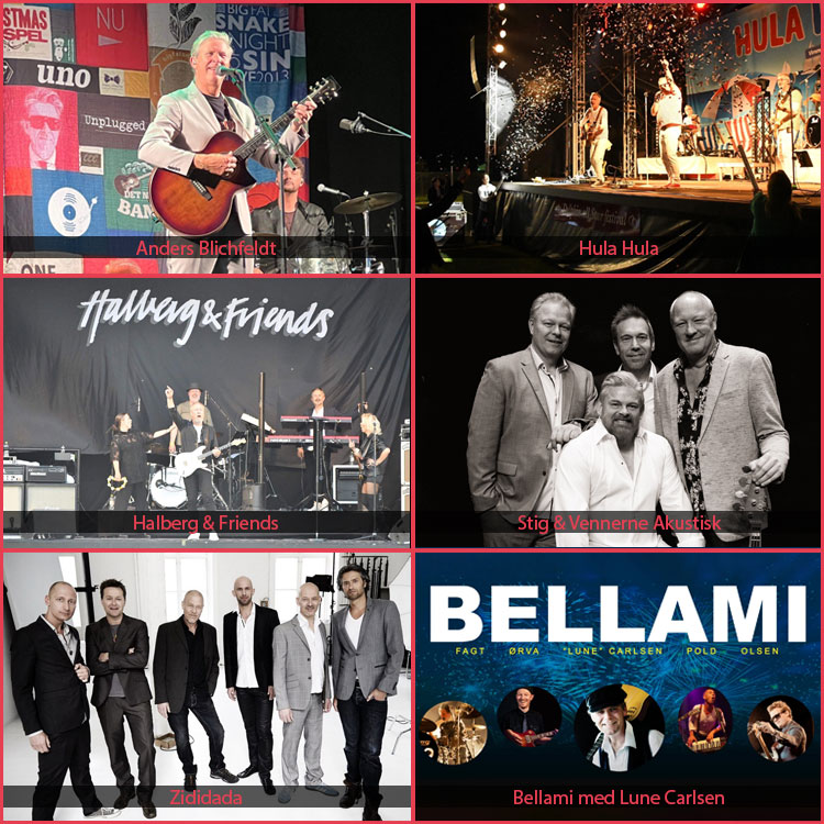 Dolphin Allstars Festival 2024