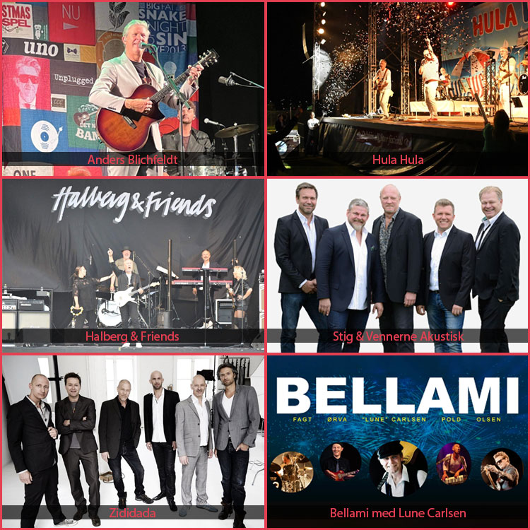 Dolphin Allstars Festival